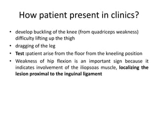 How patient present in clinics?
• develop buckling of the knee (from quadriceps weakness)
difficulty lifting up the thigh
• dragging of the leg
• Test :patient arise from the floor from the kneeling position
• Weakness of hip flexion is an important sign because it
indicates involvement of the iliopsoas muscle, localizing the
lesion proximal to the inguinal ligament
 