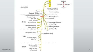 Presentation title 11
 