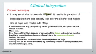 Clinical integration
Presentation title 12
Femoral nerve injury
 It may result due to wounds in groin. It results in paralysis of
quadriceps femoris and sensory loss over the anterior and medial
side of thigh, and medial side of leg.
It’s uncommon but may be injured by a stab, gunshot wounds, or a pelvic fracture.
clinical features:
Motor loss.
Poor flexion of the thigh, because of paralysis of the iliacus and sartorius muscles.
Inability to extend the knee, because of paralysis of the quadriceps femoris.
Sensory decrease
Sensory decline over the anterior and medial aspects of the thigh.
Sensory loss on the medial side of the leg and foot up to the ball of the great toe (first
metatarsophalangeal joint).
 
