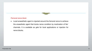 Presentation title 13
Femoral nerve block
 Local anaesthetic agent is injected around the femoral nerve to achieve
the anaesthetic agent that bocks nerve condition by inactivation of Na+
channels. It is available as gels for local applications or injection for
nerve blocks.
 