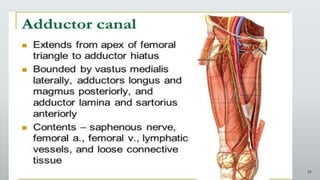 Presentation title 19
 