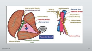 Presentation title 20
 