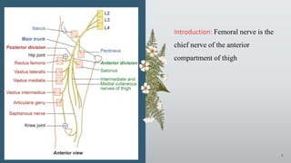 Presentation title 5
Introduction: Femoral nerve is the
chief nerve of the anterior
compartment of thigh
 