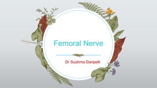Femoral Nerve
Dr Sushma Daripelli
 