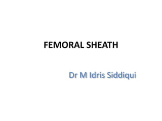 FEMORAL SHEATH
Dr M Idris Siddiqui
 