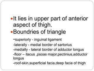 It lies in upper part of anterior
aspect of thigh.
Boundries of triangle
-superiorly - inguinal ligament
-laterally - medial border of sartorius
-medially - lateral border of adductor longus
-floor – ilacus ,psoas major,pectinius,adductor
longus
-roof-skin,superficial facia,deep facia of thigh