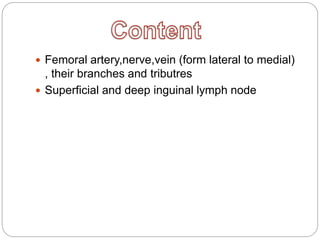  Femoral artery,nerve,vein (form lateral to medial)
, their branches and tributres
Superficial and deep inguinal lymph node