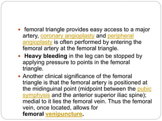  femoral triangle provides easy access to a major
artery, coronary angioplasty and peripheral
angioplasty is often performed by entering the
femoral artery at the femoral triangle.
Heavy bleeding in the leg can be stopped by
applying pressure to points in the femoral
triangle.
Another clinical significance of the femoral
triangle is that the femoral artery is positioned at
the midinguinal point (midpoint between the pubic
symphysis and the anterior superior iliac spine);
medial to it lies the femoral vein. Thus the femoral
vein, once located, allows for
femoral venipuncture.