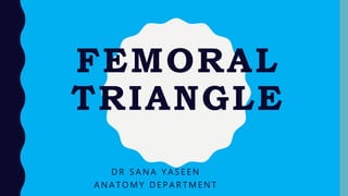 FEMORAL
TRIANGLE
D R S A N A Y A S E E N
A N A T O M Y D E P A R T M E N T
 