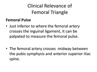 Clinical Relevance of
Femoral Triangle
Femoral Pulse
• Just inferior to where the femoral artery
crosses the inguinal ligament, it can be
palpated to measure the femoral pulse.
• The femoral artery crosses midway between
the pubis symphysis and anterior superior iliac
spine.
 