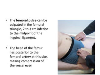 • The femoral pulse can be
palpated in the femoral
triangle, 2 to 3 cm inferior
to the midpoint of the
inguinal ligament.
• The head of the femur
lies posterior to the
femoral artery at this site,
making compression of
the vessel easy.
 