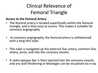 Clinical Relevance of
Femoral Triangle
Access to the Femoral Artery
• The femoral artery is located superficially within the femoral
triangle, and is thus easy to access. This makes it suitable for
coronary angiography.
• In coronary angiography, the femoral artery is catheterised
with a long thin tube.
• This tube is navigated up the external iliac artery, common iliac
artery, aorta, and into the coronary vessels.
• A radio-opaque dye is then injected into the coronary vessels,
and any wall thickening or blockages can be visualised via x-ray.
 