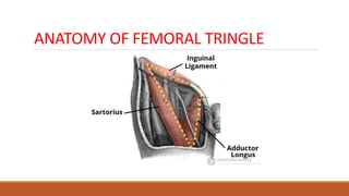 ANATOMY OF FEMORAL TRINGLE
 