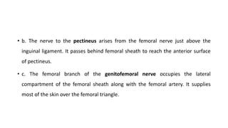 • b. The nerve to the pectineus arises from the femoral nerve just above the
inguinal ligament. It passes behind femoral sheath to reach the anterior surface
of pectineus.
• c. The femoral branch of the genitofemoral nerve occupies the lateral
compartment of the femoral sheath along with the femoral artery. It supplies
most of the skin over the femoral triangle.
 
