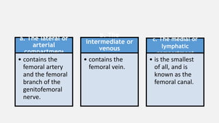 a. The lateral or
arterial
compartment
• contains the
femoral artery
and the femoral
branch of the
genitofemoral
nerve.
b. The
intermediate or
venous
compartment
• contains the
femoral vein.
c. The medial or
lymphatic
compartment
• is the smallest
of all, and is
known as the
femoral canal.
 