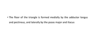 • The floor of the triangle is formed medially by the adductor longus
and pectineus, and laterally by the psoas major and iliacus
 