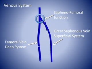 Femoral Vein
Deep System
Sapheno-Femoral
Junction
Great Saphenous Vein
Superficial System
Venous System
 
