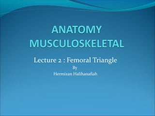 Lecture 2 : Femoral Triangle
By
Hermizan Halihanafiah
 