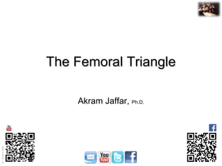 Dr. Akram Jaffar
Dr.AkramJaffar
The Femoral TriangleThe Femoral Triangle
Akram Jaffar, Ph.D.
 