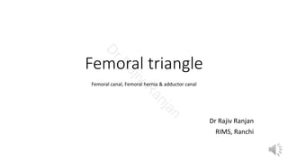 Femoral triangle
Dr Rajiv Ranjan
RIMS, Ranchi
Femoral canal, Femoral hernia & adductor canal
D
rR
ajiv
R
anjan
 