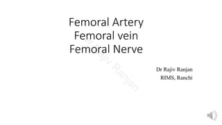 Femoral Artery
Femoral vein
Femoral Nerve
Dr Rajiv Ranjan
RIMS, RanchiD
rR
ajiv
R
anjan
 