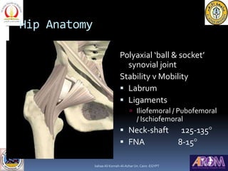 Hip Anatomy
Polyaxial ‘ball & socket’
synovial joint
Stability v Mobility
 Labrum
 Ligaments
 Iliofemoral / Pubofemoral...