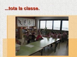 ...tota la classe. 
