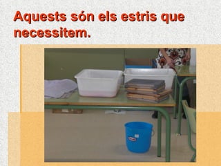 Aquests són els estris que necessitem. 