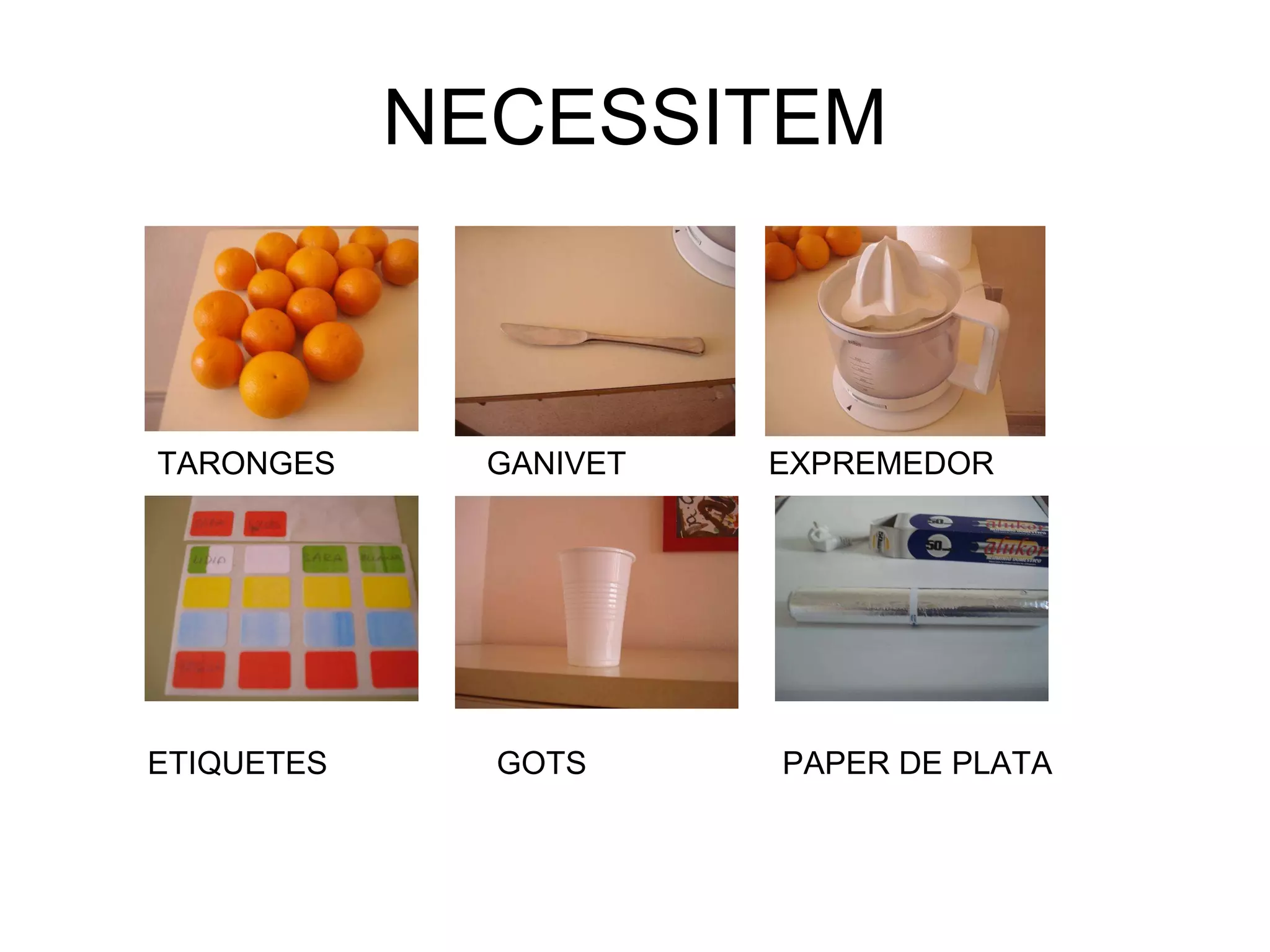 NECESSITEM TARONGES  GANIVET  EXPREMEDOR ETIQUETES  GOTS  PAPER DE PLATA 
