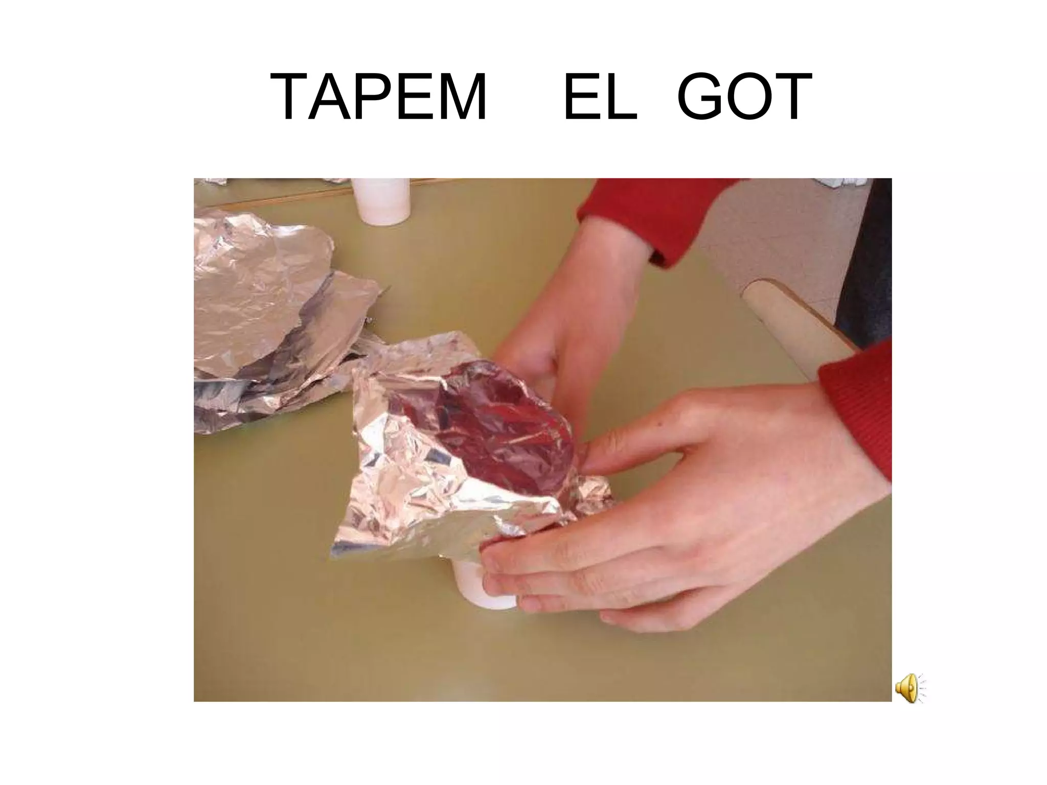 TAPEM  EL  GOT 