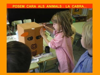 POSEM CARA ALS ANIMALS : LA CABRA...