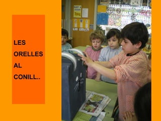 LES ORELLES AL CONILL..