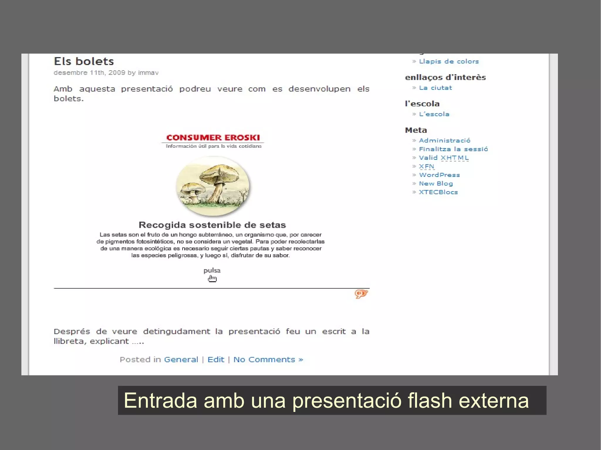 Entrada amb una presentació flash externa  