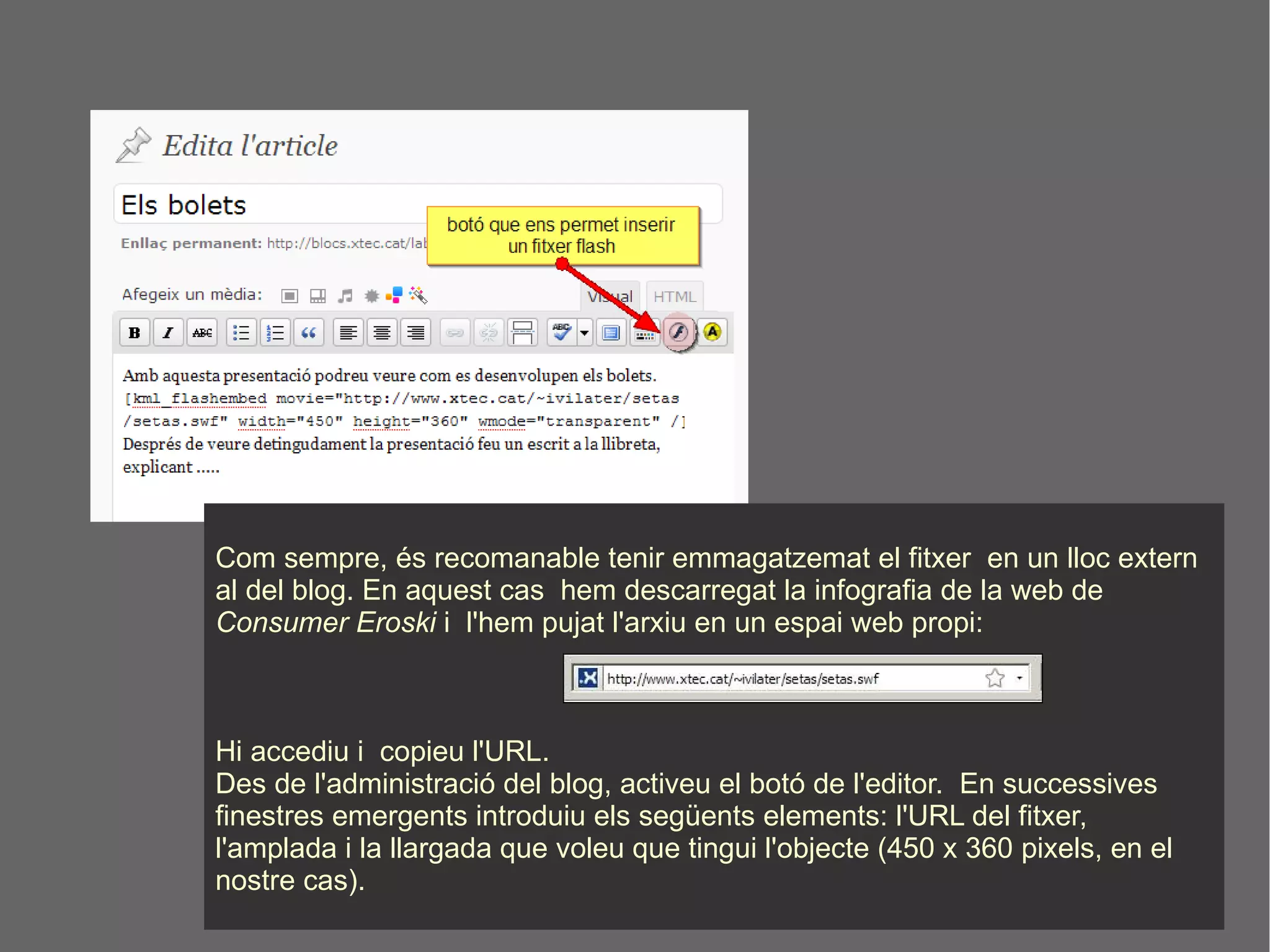 Com sempre, és recomanable tenir emmagatzemat el fitxer  en un lloc extern al del blog. En aquest cas  hem descarregat la infografia de la web de  Consumer Eroski  i  l'hem pujat l'arxiu en un espai web propi: Hi accediu i  copieu l'URL.  Des de l'administració del blog, activeu el botó de l'editor.  En successives finestres emergents introduiu els següents elements: l'URL del fitxer, l'amplada i la llargada que voleu que tingui l'objecte (450 x 360 pixels, en el nostre cas).  