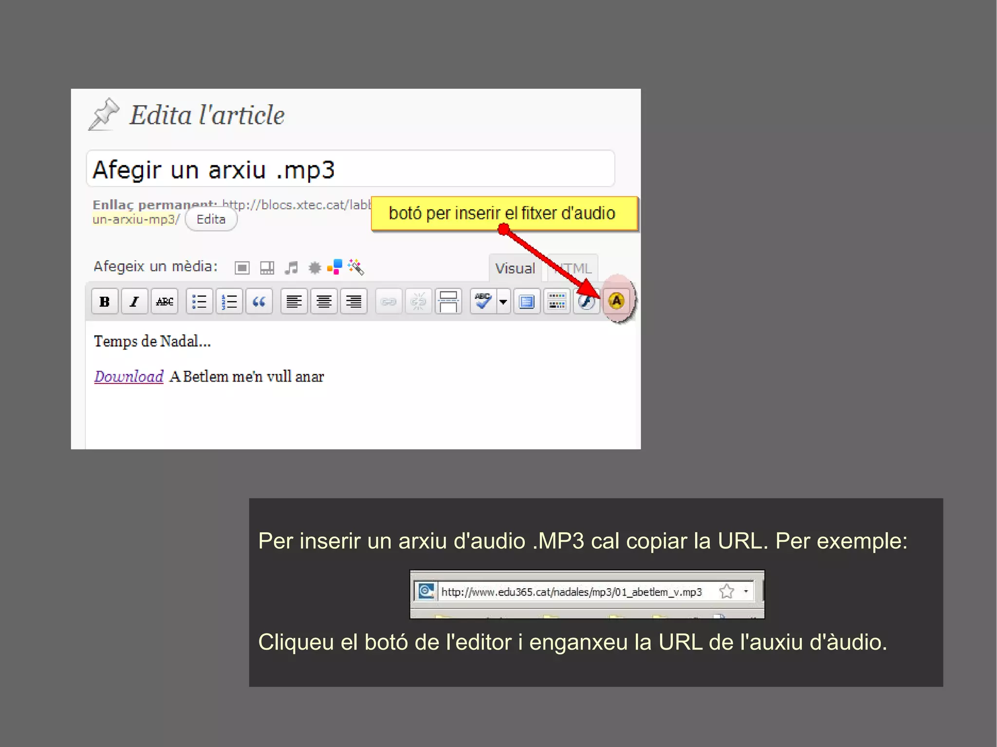 Per inserir un arxiu d'audio .MP3 cal copiar la URL. Per exemple: Cliqueu el botó de l'editor i enganxeu la URL de l'auxiu d'àudio. 