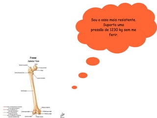 Sou o osso mais resistente. Suporto uma pressão de 1230 kg sem me ferir. 