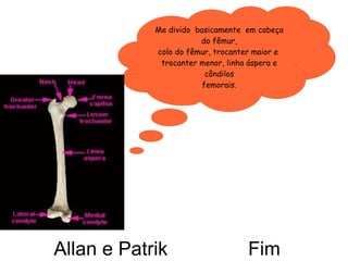 Allan e Patrik  Fim Me divido  basicamente  em cabeça do fêmur, colo do fêmur, trocanter maior e  trocanter menor, linha áspera e côndilos femorais. 