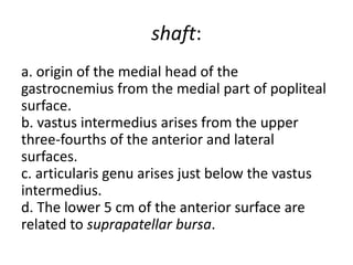 shaft:
a. origin of the medial head of the
gastrocnemius from the medial part of popliteal
surface.
b. vastus intermedius arises from the upper
three-fourths of the anterior and lateral
surfaces.
c. articularis genu arises just below the vastus
intermedius.
d. The lower 5 cm of the anterior surface are
related to suprapatellar bursa.
 