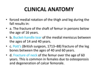 CLINICAL ANATOMY
• forced medial rotation of the thigh and leg during the
fall results in:
• a. The fracture of the shaft of femur in persons below
the age of 16 years.
• b. Bucket-handle tear of the medial meniscus between
the ages of 14 and 40 years.
• c. Pott’s (British surgeon, 1713–88) fracture of the leg
bones between the ages of 40 and 60 years.
• d. Fracture of neck of the femur over the age of 60
years. This is common in females due to osteoporosis
and degeneration of calcar femorale.
 