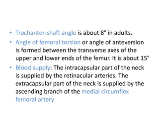 • Trochanter-shaft angle is about 8° in adults.
• Angle of femoral torsion or angle of anteversion
is formed between the transverse axes of the
upper and lower ends of the femur. It is about 15°
• Blood supply: The intracapsular part of the neck
is supplied by the retinacular arteries. The
extracapsular part of the neck is supplied by the
ascending branch of the medial circumflex
femoral artery
 