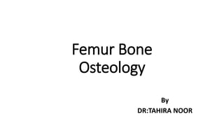 Femur Bone
Osteology
By
DR:TAHIRA NOOR
 