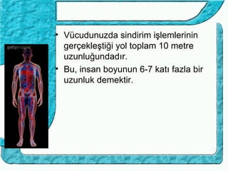 • Vücudunuzda sindirim işlemlerinin
  gerçekleştiği yol toplam 10 metre
  uzunluğundadır.
• Bu, insan boyunun 6-7 katı fazla bir
  uzunluk demektir.
 