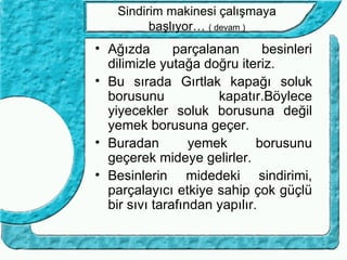 Sindirim makinesi çalışmaya
          başlıyor… ( devam )
• Ağızda       parçalanan      besinleri
  dilimizle yutağa doğru iteriz.
• Bu sırada Gırtlak kapağı soluk
  borusunu            kapatır.Böylece
  yiyecekler soluk borusuna değil
  yemek borusuna geçer.
• Buradan         yemek       borusunu
  geçerek mideye gelirler.
• Besinlerin midedeki sindirimi,
  parçalayıcı etkiye sahip çok güçlü
  bir sıvı tarafından yapılır.
 