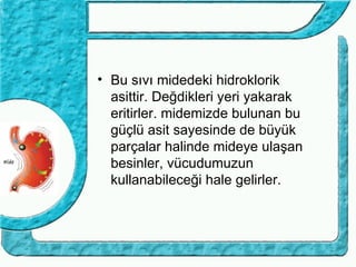 • Bu sıvı midedeki hidroklorik
  asittir. Değdikleri yeri yakarak
  eritirler. midemizde bulunan bu
  güçlü asit sayesinde de büyük
  parçalar halinde mideye ulaşan
  besinler, vücudumuzun
  kullanabileceği hale gelirler.
 