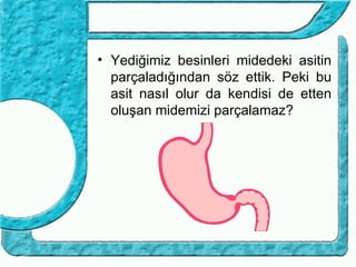 • Yediğimiz besinleri midedeki asitin
  parçaladığından söz ettik. Peki bu
  asit nasıl olur da kendisi de etten
  oluşan midemizi parçalamaz?
 