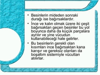 • Besinlerin mideden sonraki
  durağı ise bağırsaklardır.
• İnce ve kalın olmak üzere iki çeşit
  bağırsaktan geçen besinler bu yol
  boyunca daha da küçük parçalara
  ayrılır ve yine vücudun
  kullanabileceği hale gelirler.
• Bu besinlerin gerekli olan
  kısımları ince bağırsaktan kana
  karışır ve gereksiz olanları da
  boşaltım sistemiyle vücuttan
  atılırlar.
 