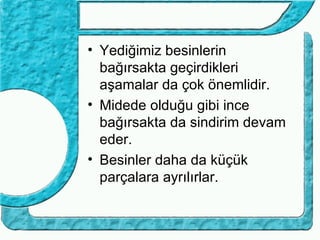 • Yediğimiz besinlerin
  bağırsakta geçirdikleri
  aşamalar da çok önemlidir.
• Midede olduğu gibi ince
  bağırsakta da sindirim devam
  eder.
• Besinler daha da küçük
  parçalara ayrılırlar.
 