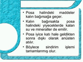 • Posa halindeki maddeler
  kalın bağırsağa geçer.
• Kalın     bağırsakta      posa
  halindeki yiyeceklerde kalan
  su ve mineraller de emilir.
• Posa iyice katı hale geldikten
  sonra dışkı olarak anüsten
  atılır.
• Böylece     sindirim    işlemi
  tamamlanmış olur.
 