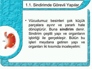 1.1. Sindirimde Görevli Yapılar


• Vücudumuz besinleri çok küçük
  parçalara ayırır ve yararlı hale
  dönüştürür. Buna sindirim denir.
  Sindirim çeşitli yapı ve organların
  işbirliği ile gerçekleşir. Bütün bu
  işleri meydana getiren yapı ve
  organları iki kısımda inceleyelim:
 