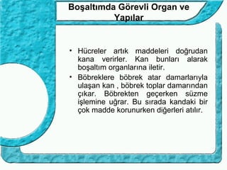 Boşaltımda Görevli Organ ve
          Yapılar


• Hücreler artık maddeleri doğrudan
  kana verirler. Kan bunları alarak
  boşaltım organlarına iletir.
• Böbreklere böbrek atar damarlarıyla
  ulaşan kan , böbrek toplar damarından
  çıkar. Böbrekten geçerken süzme
  işlemine uğrar. Bu sırada kandaki bir
  çok madde korunurken diğerleri atılır.
 